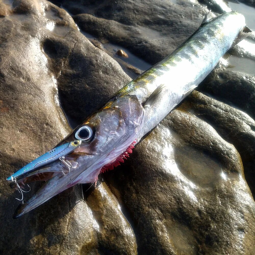 GOBAIT VIB Fishing Lure 20g 25 - Fishing Lure Blade Bait recension och pris